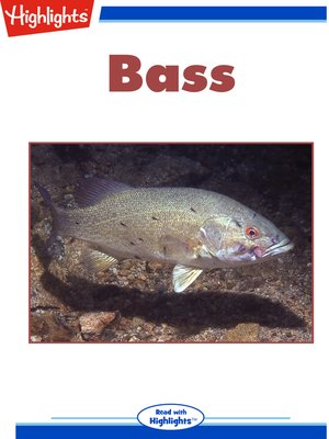 cover image of Bass